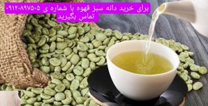 فروش عمده قهوه سبز