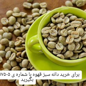 خرید عمده قهوه سبز